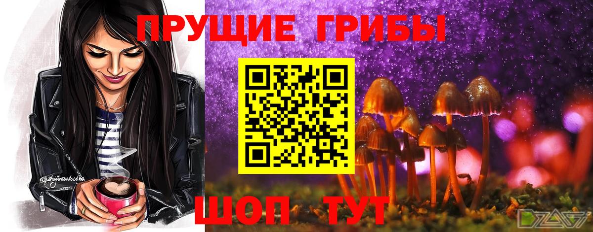 Севастополь  где купить   Вход с VPN  Псилоцибиновые грибы ЛСД 